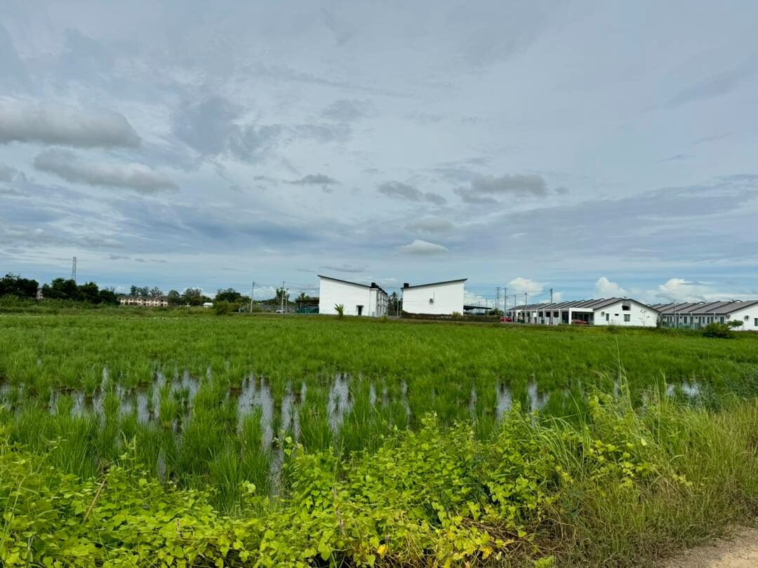 Original paddy-field site